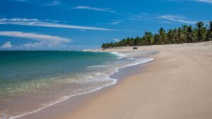 MACEIO